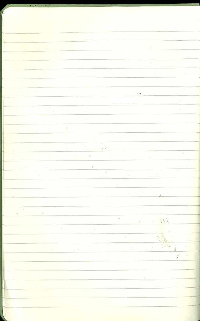 Scan of Ashley Biden diary page 2