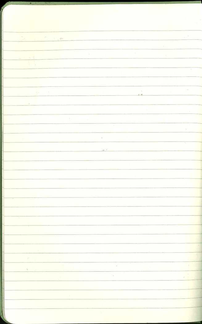 Scan of Ashley Biden diary page 4