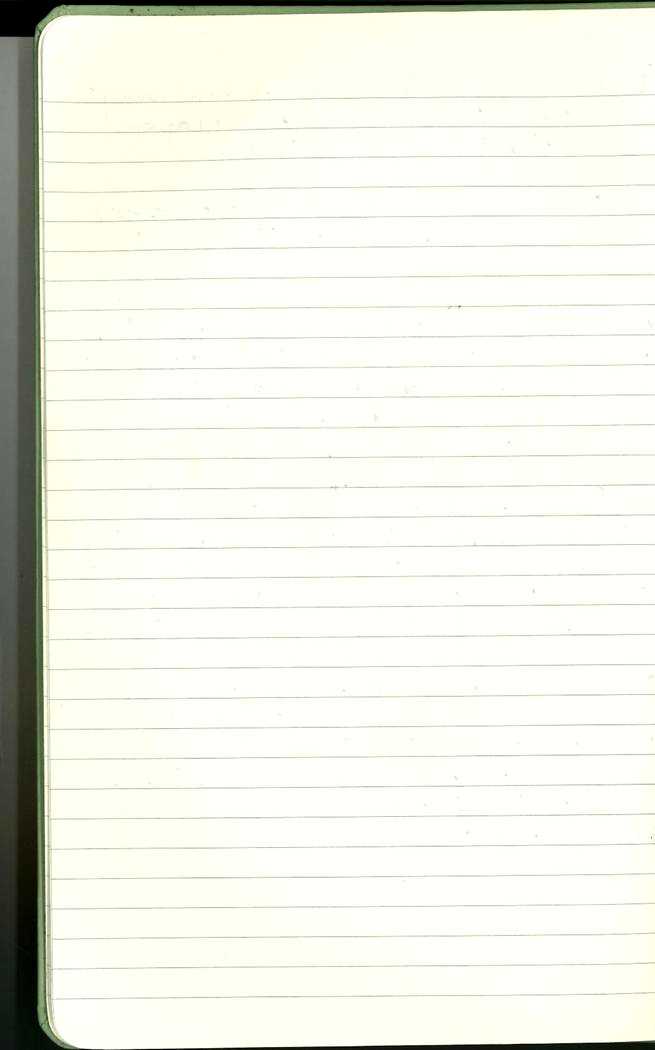 Scan of Ashley Biden diary page 6
