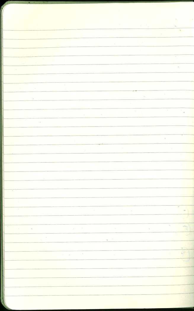 Scan of Ashley Biden diary page 8