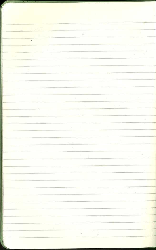Scan of Ashley Biden diary page 10