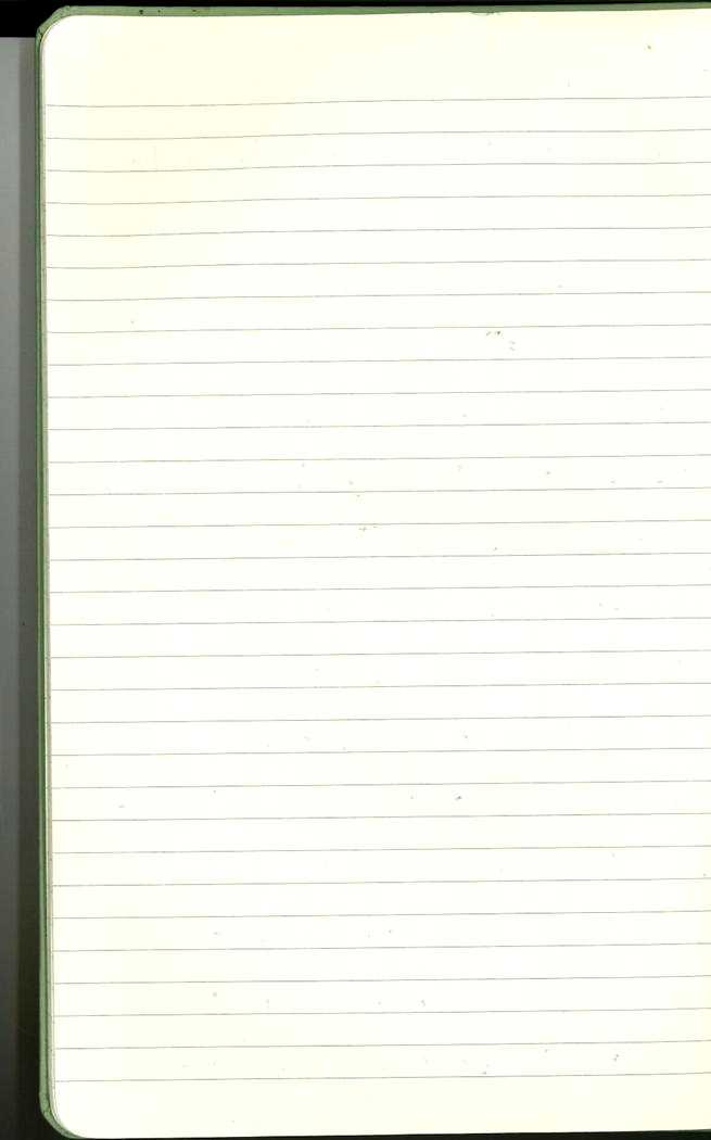 Scan of Ashley Biden diary page 12