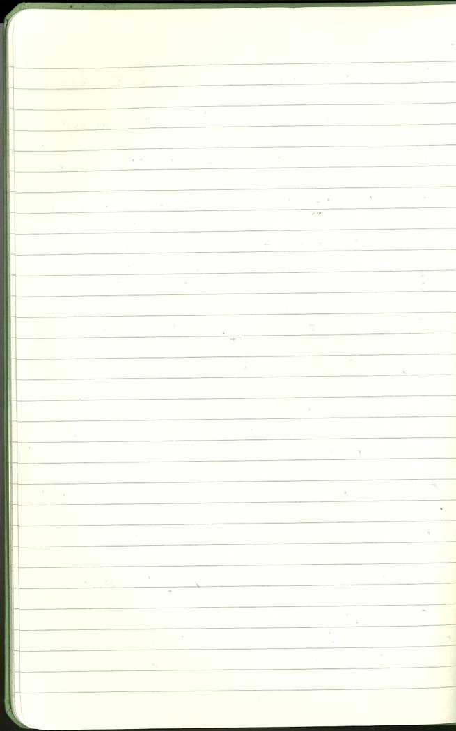 Scan of Ashley Biden diary page 14