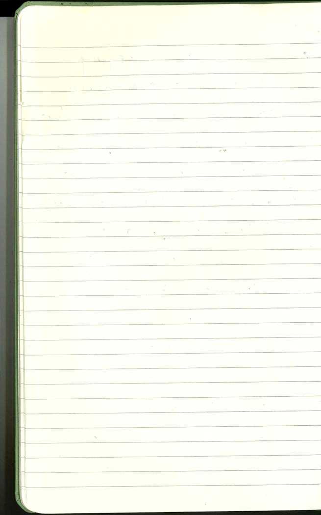 Scan of Ashley Biden diary page 16