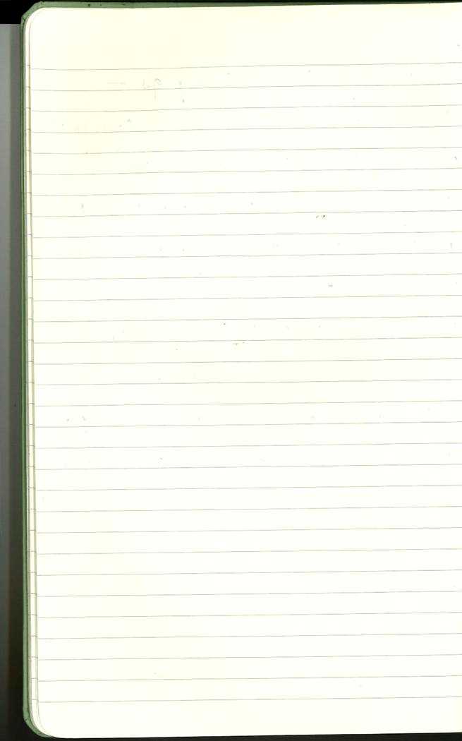 Scan of Ashley Biden diary page 18