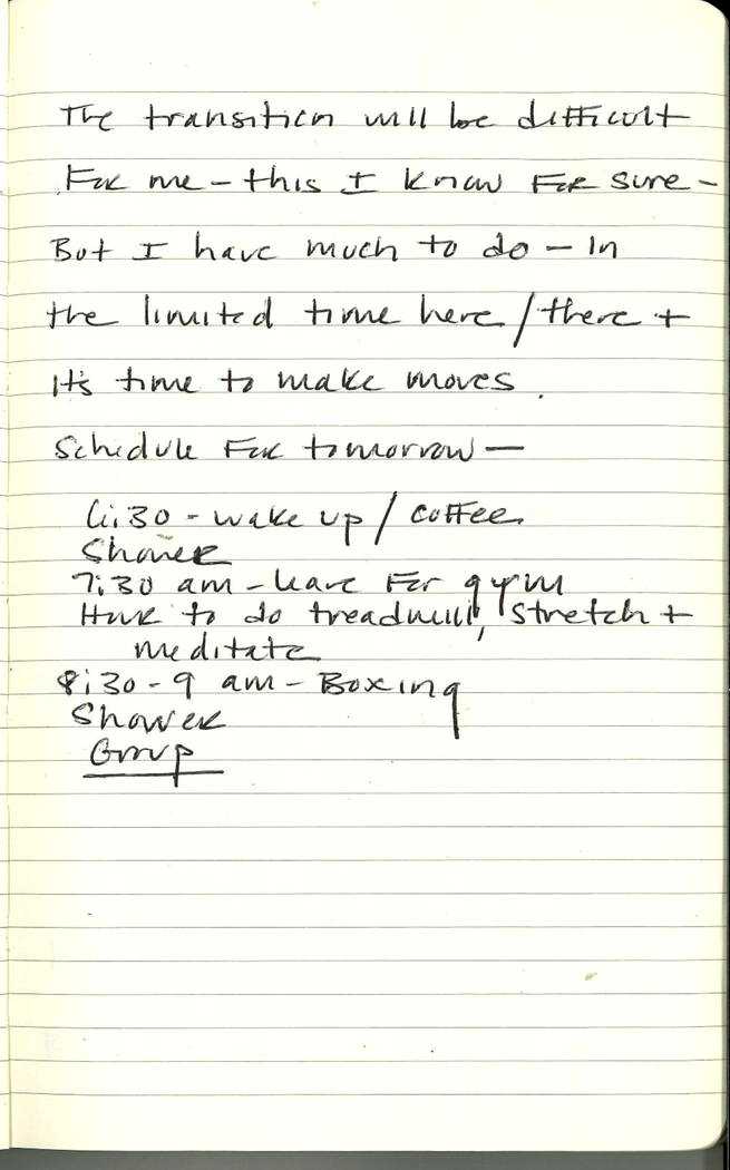 Scan of Ashley Biden diary page 87