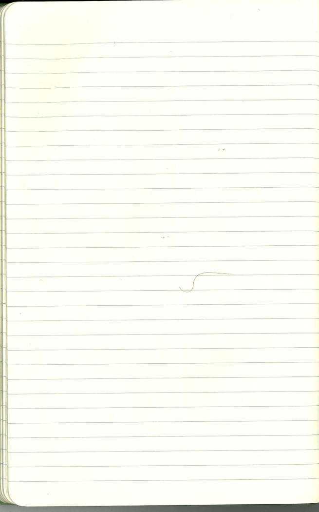 Scan of Ashley Biden diary page 100