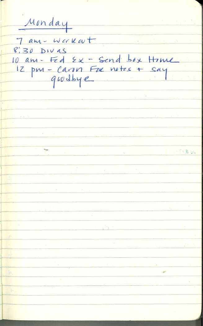 Scan of Ashley Biden diary page 101