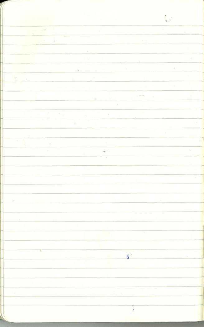 Scan of Ashley Biden diary page 156