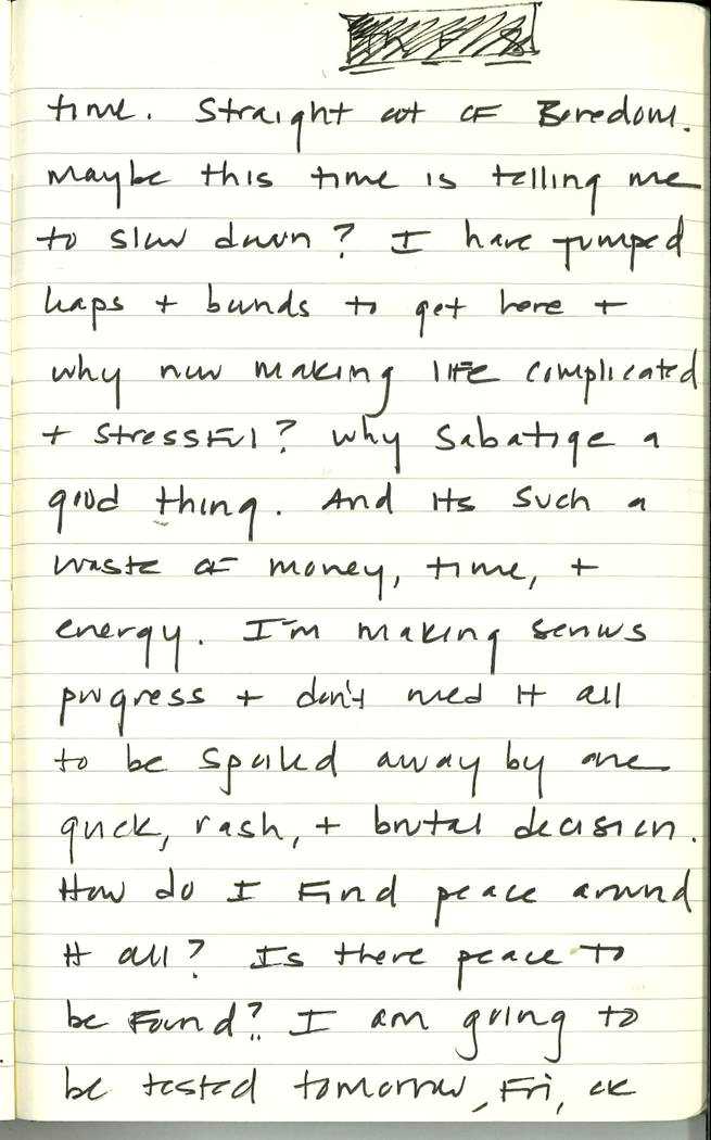 Scan of Ashley Biden diary page 161