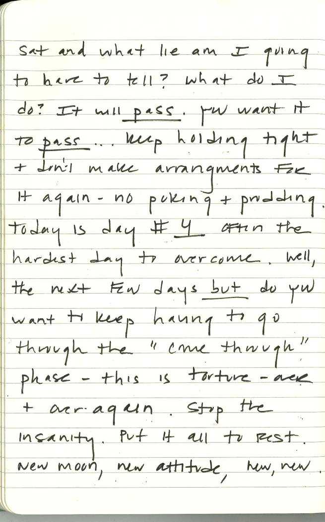 Scan of Ashley Biden diary page 162