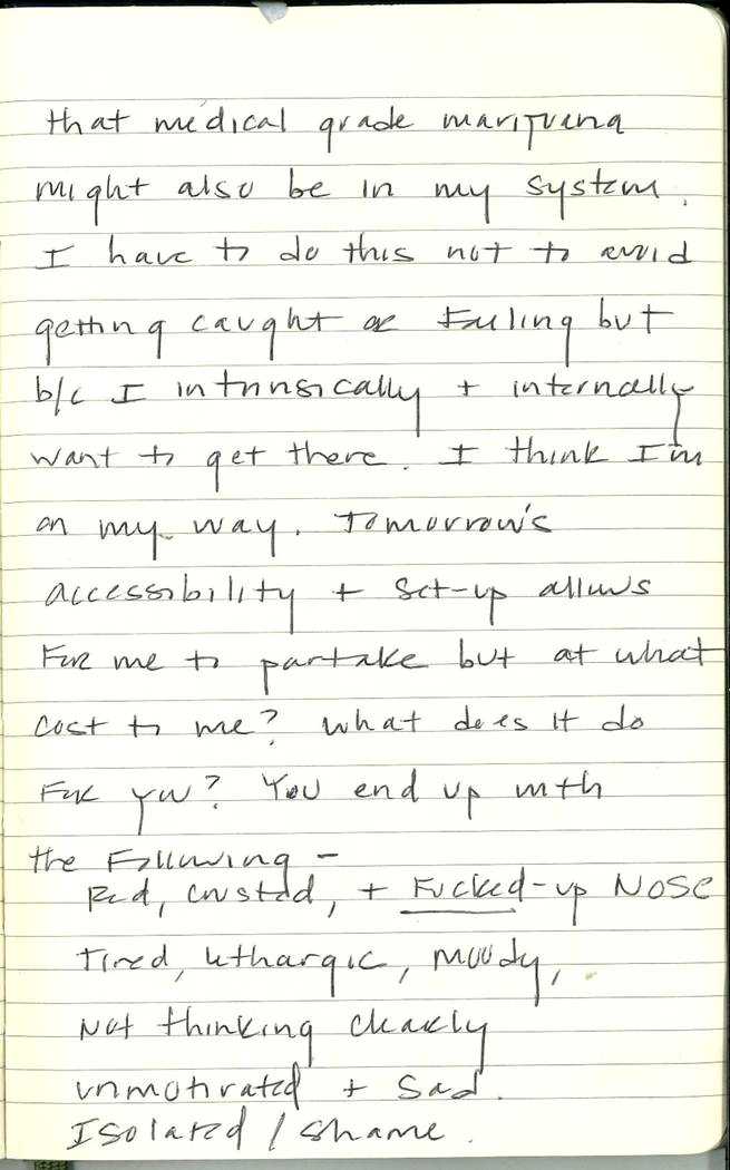Scan of Ashley Biden diary page 167