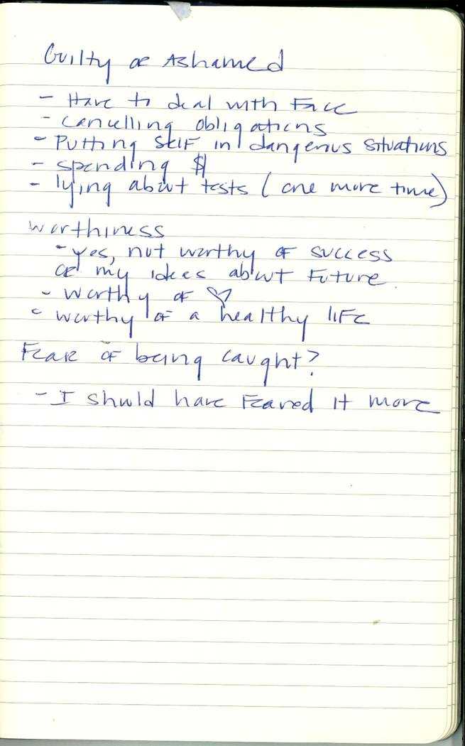 Scan of Ashley Biden diary page 177