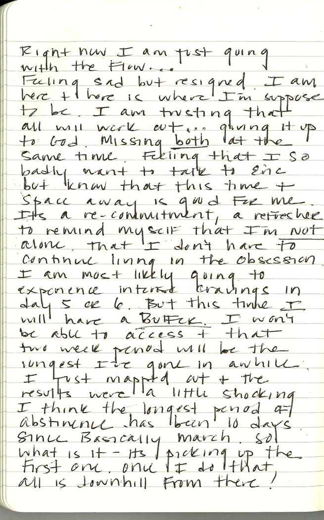 Scan of Ashley Biden diary page 204