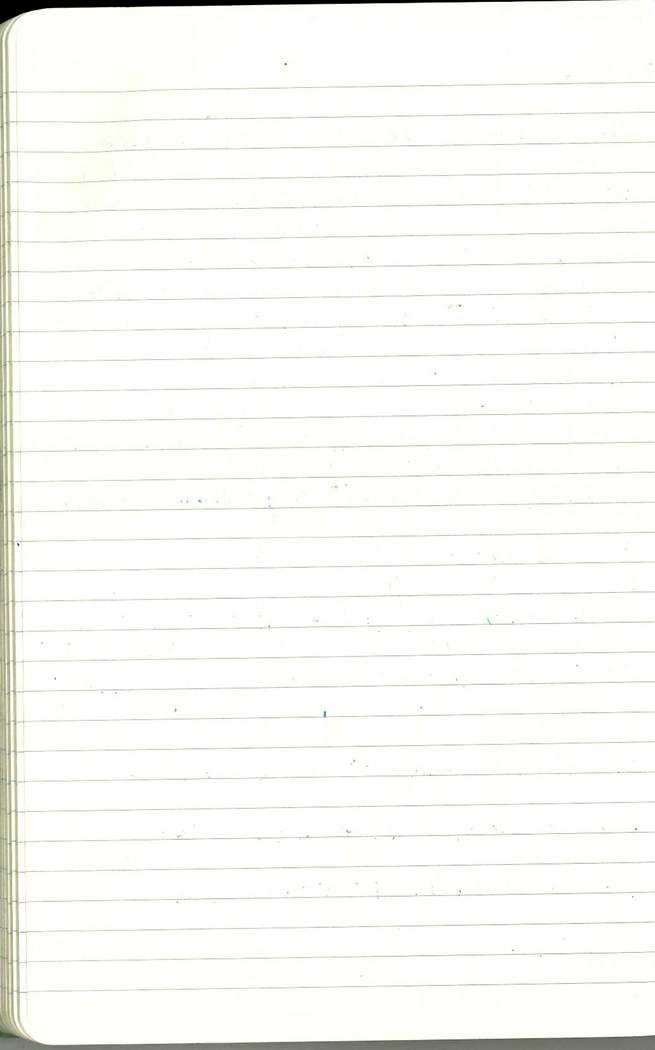 Scan of Ashley Biden diary page 212