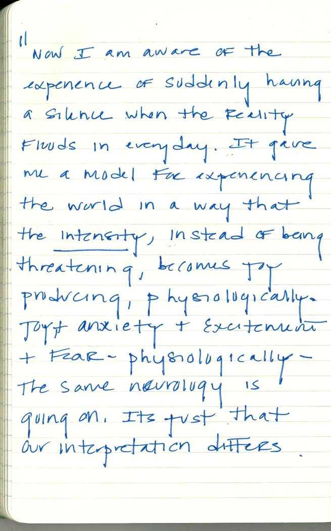 Scan of Ashley Biden diary page 214